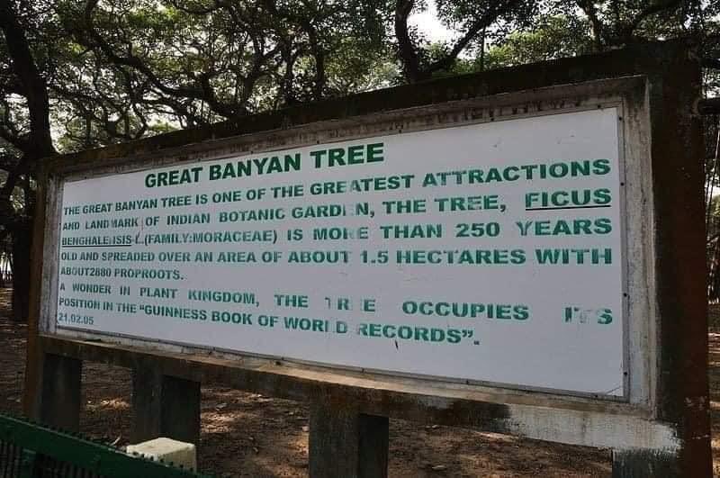 WMWestBengal's tweet photo. This is a single banyan tree spread over 3 1/2 acres and is known as the Great Banyan tree.
This big banyan tree is in #Kolkata, India.
It is said that it is more than 250 years old💙
📷 Dr Raveendra Talgoth
#LivingHeritage
#OldTreesOfIndia https://t.co/3FKPKazkFz