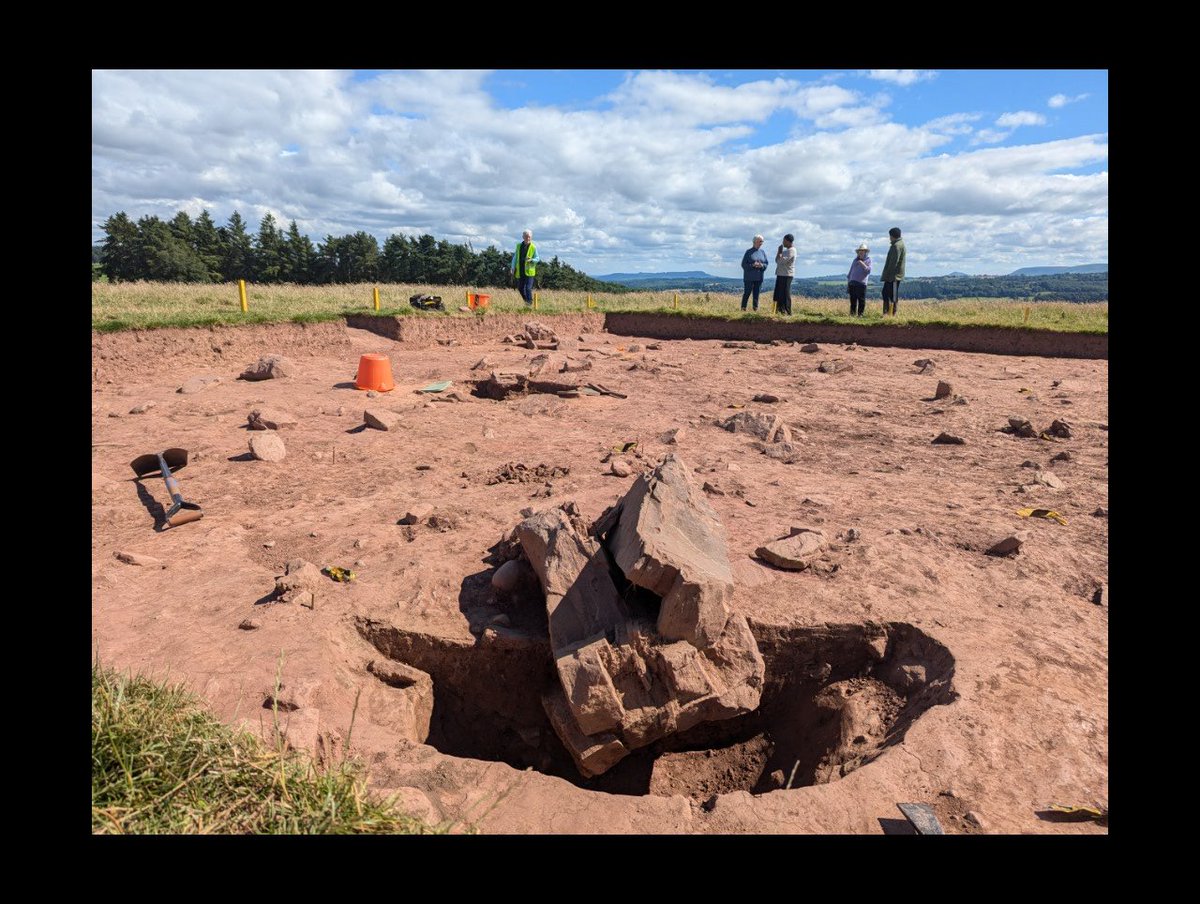We're into the final push here at #ArthursStone, #Herefordshire, investigating our newly discovered #Neolithic stone circle. Despite apparent heavy ploughing much of the circle remains, including this beauty: <a href="/UoMArchaeology/">Manchester Centre for Archaeology and Egyptology</a> <a href="/CUHistArchRel/">Cardiff Uni History, Archaeology and Religion</a>