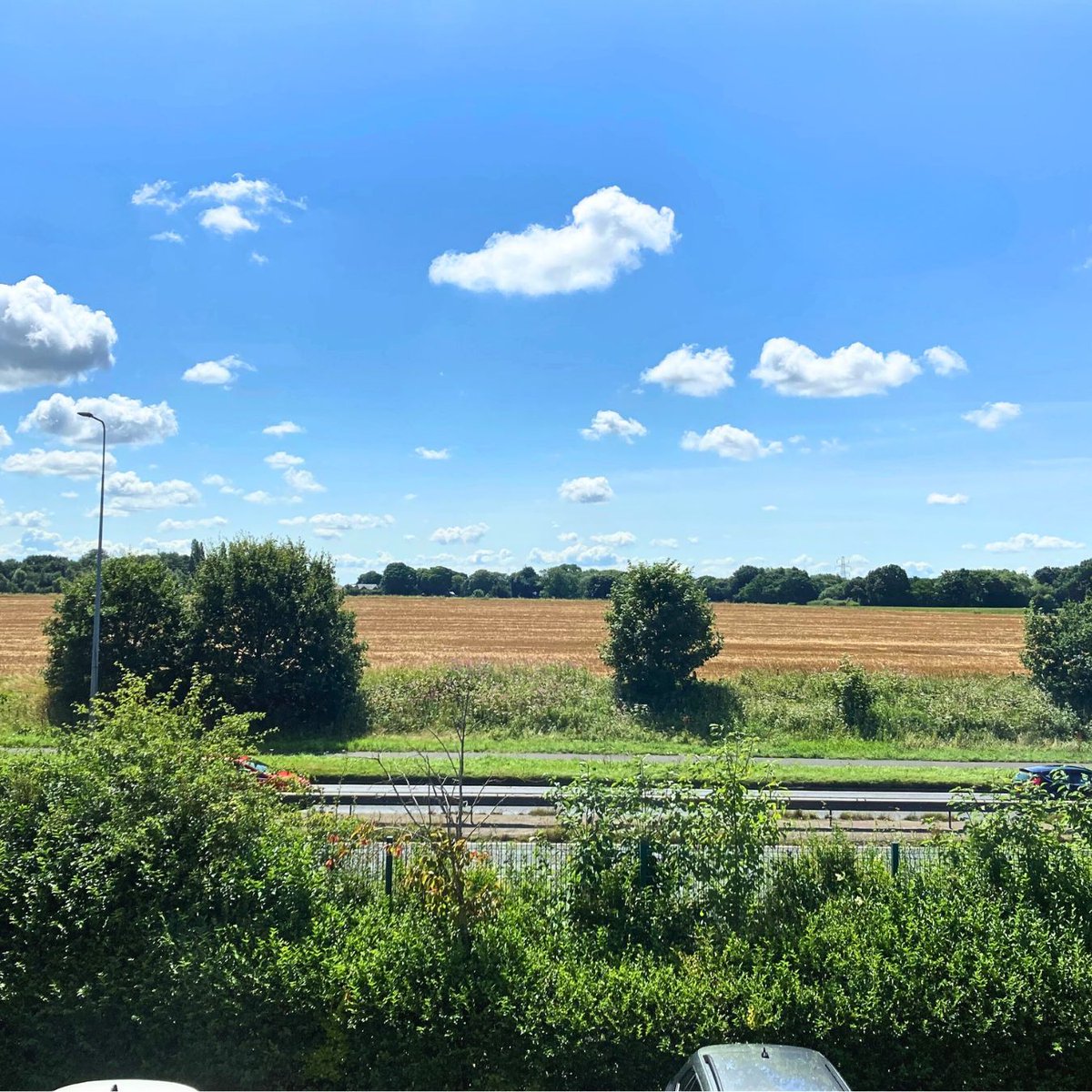 PH_Pipelines's tweet image. Good afternoon from our head office 👋 

It looks like summer has finally arrived! ☀️