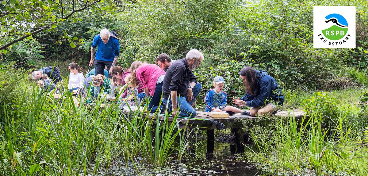 Are you ready for Heath Week 2024? Check out the activities for all the family and save the dates. We'll be there as usual helping folk enjoy and explore our wonderful pebblebed heaths.
pebblebedheaths.org.uk/whats-on/
