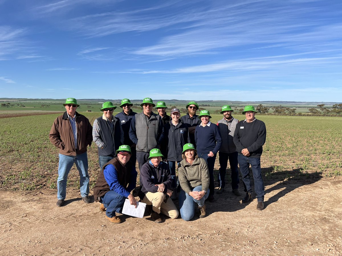 Queensland growers from Brigalow &amp; western downs #GRDCStudyTour learning from southern Australian grower groups. Day 1 Hart field site - professional focused research - impressive. #RiskWise @grdc @DAFQld <a href="/jakeonfarm/">Jake Hamilton</a> <a href="/1980BenTaylor/">Ben Taylor</a> <a href="/RussWoodAg/">Russ Wood</a>