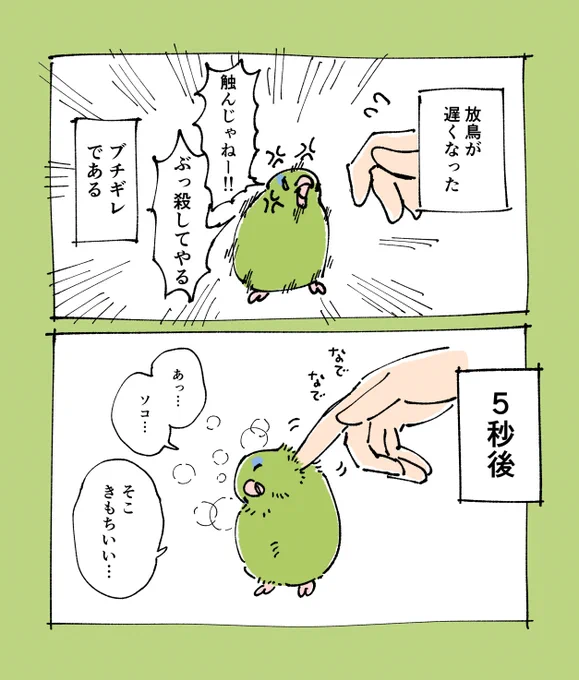 インコの気持ち むずかしい 