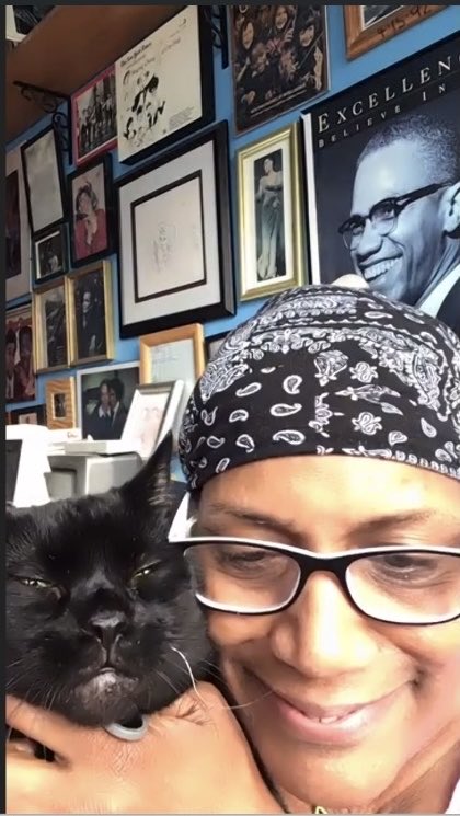 Good morning from a #childlesscatlady who is all-in for #Kamala2024!