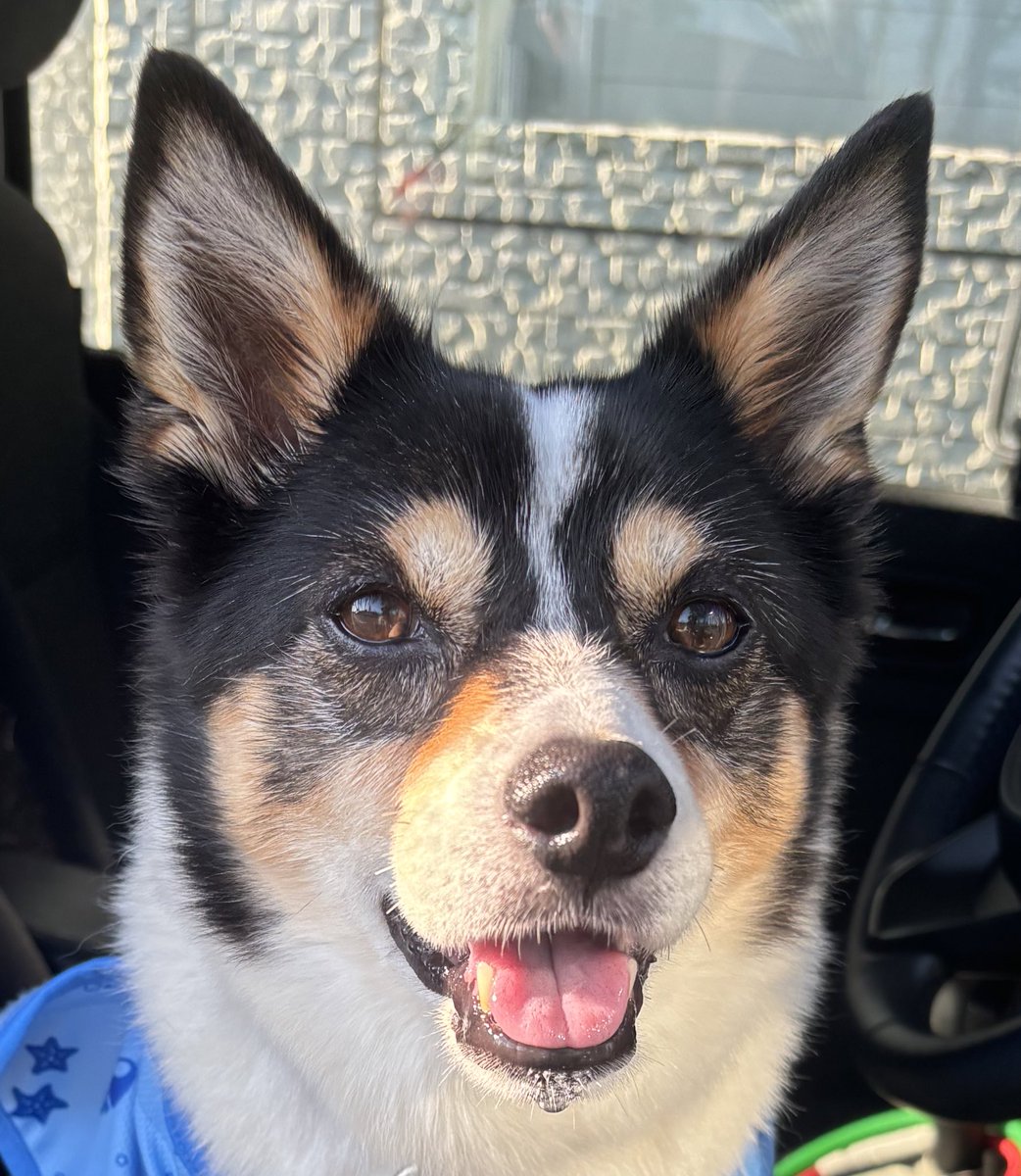 車から降りるための要求圧をかけつつの、おヨダ