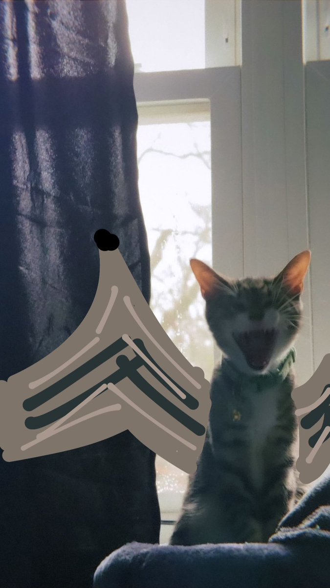 Angos, Jericho! 🐉🔥