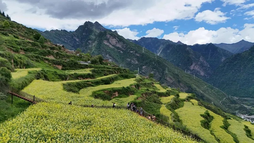 ChinaRailways's tweet image. With the support of the Sichuan-Qinghai Railway, Niuwei Village, located in the Aba Tibetan and Qiang autonomous prefecture of Sichuan province, is now accelerating its rural revitalization.  #TrainTravel #RailwayTime