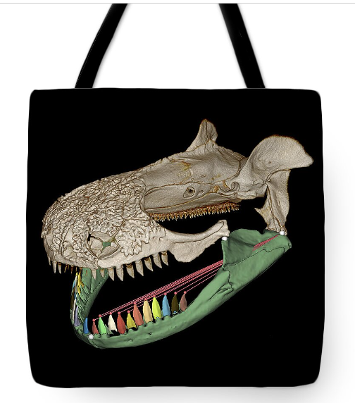 iobjournal@sicb.org tweet media