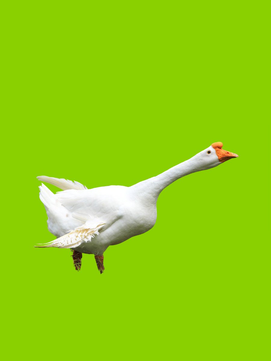 BirdLife Europe & Central Asia tweet media