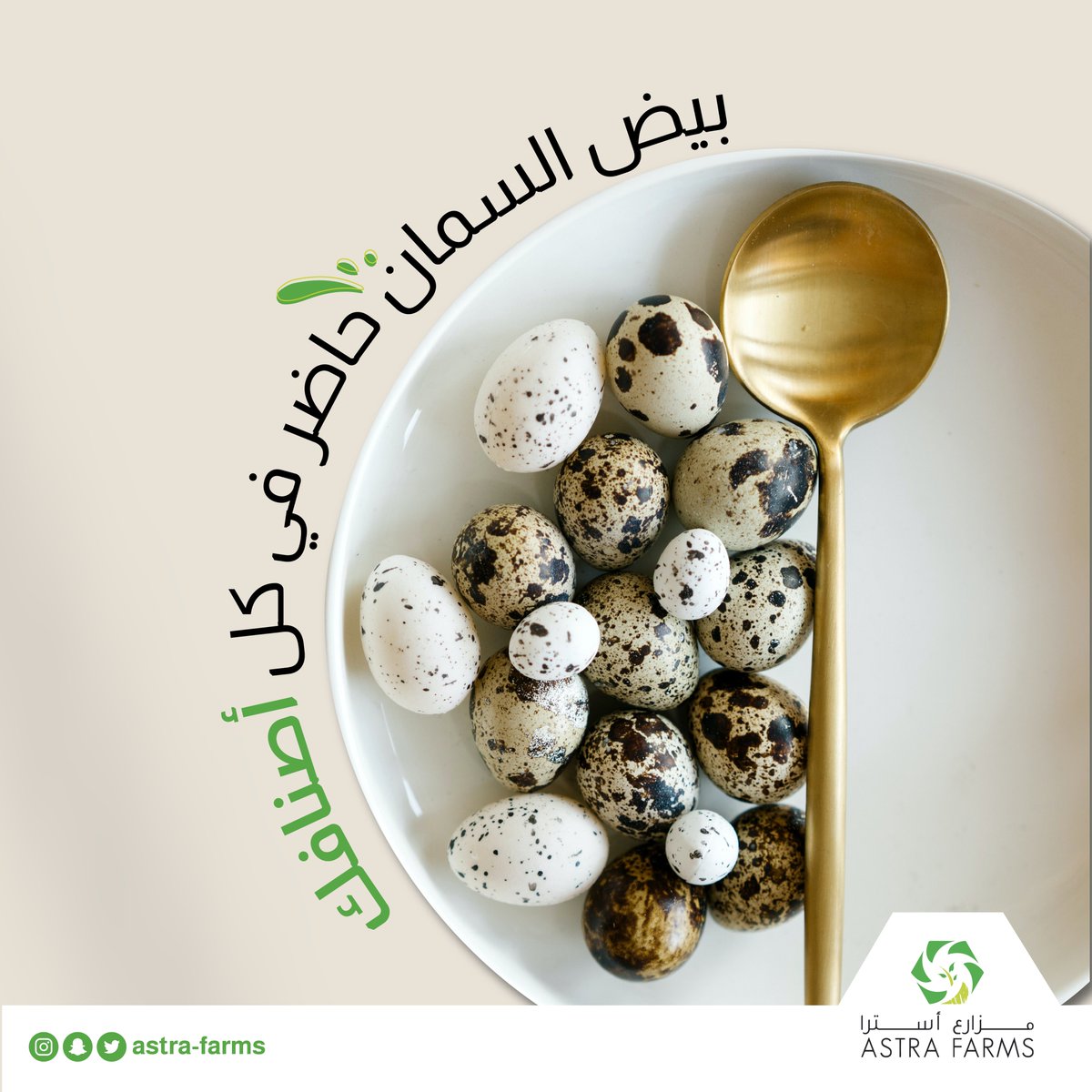 إضافتك المميزة لكل طبق...  
بيض السمان من #مزارع_استرا #صحي 
متوفر في جميع الأسواق الغذائية 

#تبوك #الرياض #جده