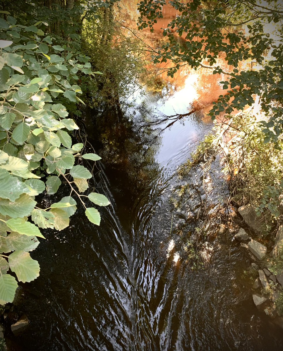 Esaholle's tweet image. #joki #virta #puro #vesi