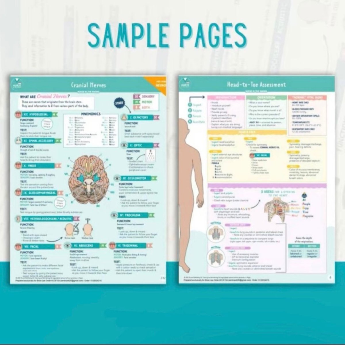 bellaacadcomms's tweet image. Nursing School Bundle

𝐋𝐈𝐌𝐈𝐓𝐄𝐃 𝐓𝐈𝐌𝐄 𝐎𝐅𝐅𝐄𝐑 𝐒𝐀𝐋𝐄
𝐆𝐞𝐭 𝐭𝐡𝐢𝐬 𝐟𝐨𝐫 𝐨𝐧𝐥𝐲 𝟒𝟗 𝐩𝐞𝐬𝐨𝐬! 

(With freebies of other nursing learning materials)
Dm me now! #nursingnotes #nursing