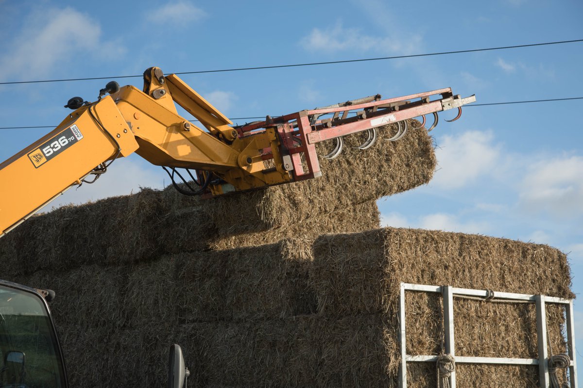 gridcustomersuk's tweet photo. 🚜 We're supporting #FarmSafetyWeek @yellowwelliesuk and reminding farm workers to #LookOutLookUp when working close to poles, pylons or overhead power lines.
Follow our simple steps to farm safety 👉 https://t.co/lnYP4U6Axc https://t.co/DWoDy3kfQ2