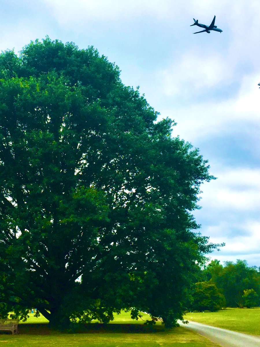 TiCL (NO to a blue tick) tweet media