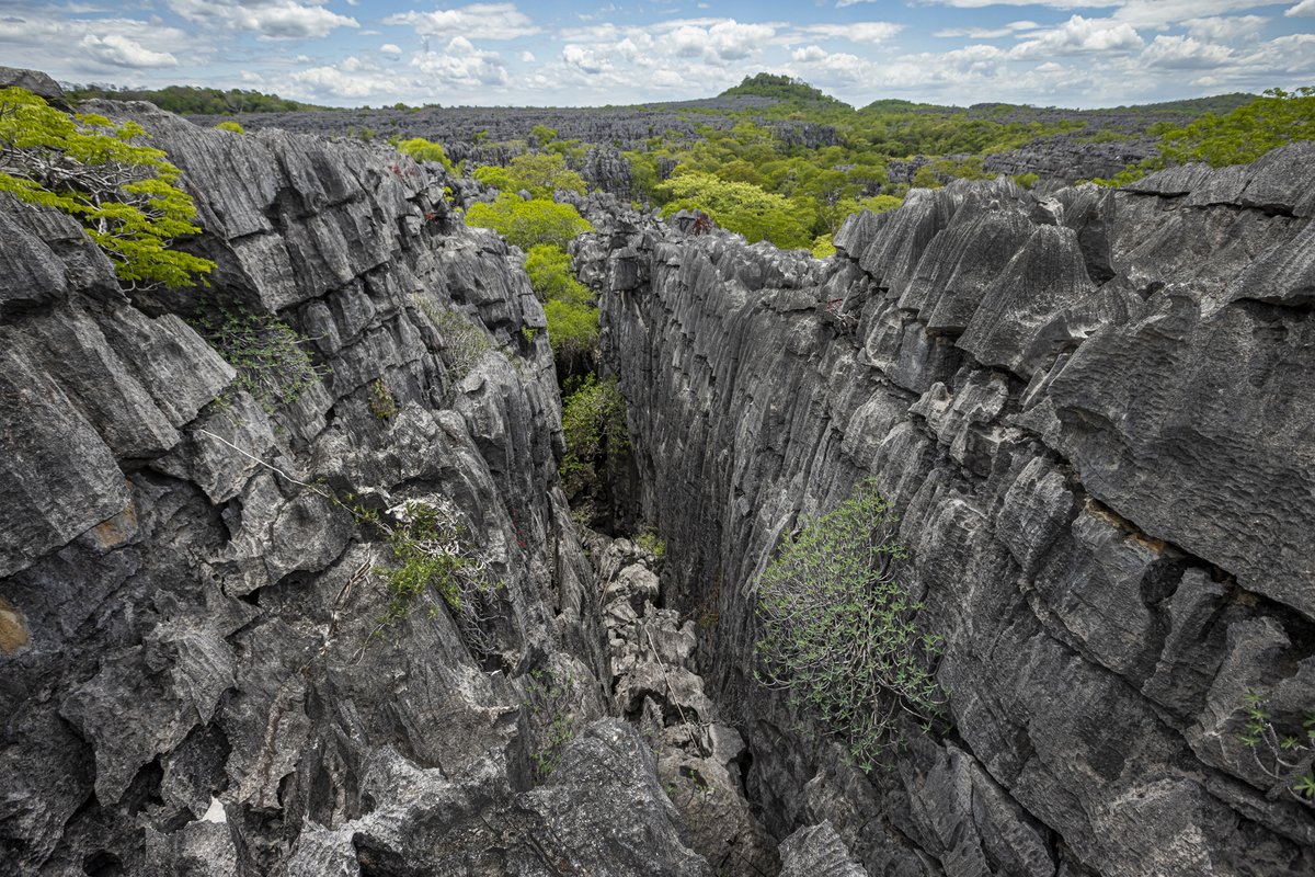 dadamanga's tweet photo. 🌍 Explore the stunning Grotte Ankarana in Madagascar! Discover limestone wonders and rich biodiversity. Book now: https://t.co/teM9yI2I1Z #Travel #Madagascar https://t.co/7UU9G8qNh4