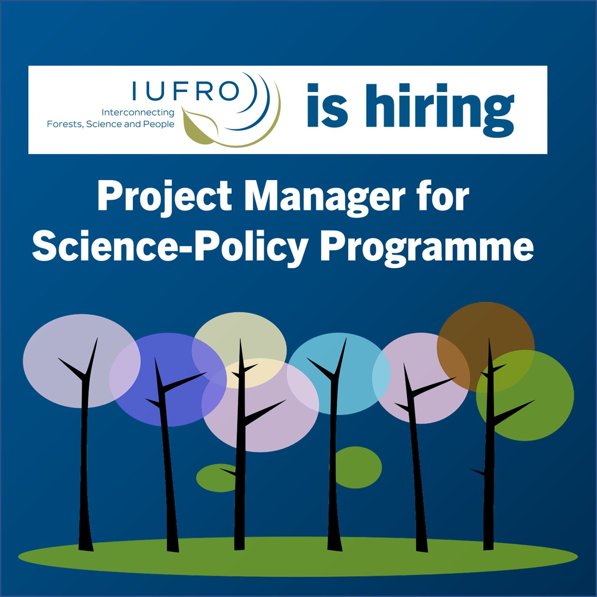 IUFRO's tweet photo. 📢#job: IUFRO is hiring a part-time Project Manager for its Science-Policy Programme!

❓You hold a Master's Degree?
❓You want to work at the #forest #SciencePolicy interface?
❗️Check out the job description!

Closing: 25 August 2024, 11:59 p.m. CEST

🔗https://t.co/MGFOhFhCqN https://t.co/fKiKoqnynT