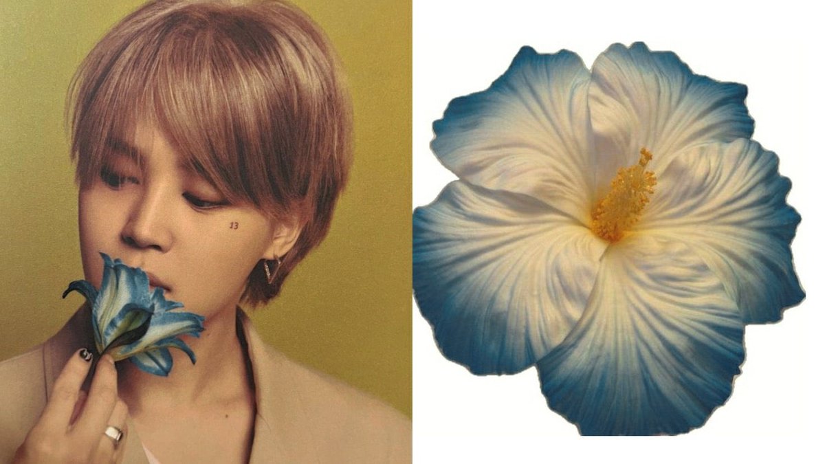 streamingforjm's tweet image. — ★ Hilo de playlists focus en Who &amp;amp; Muse RT PARA DIFUNDIR❕