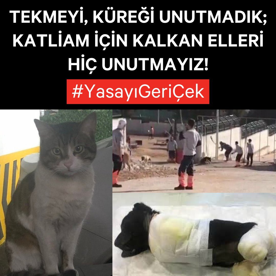 #YasaDeğilCinayet