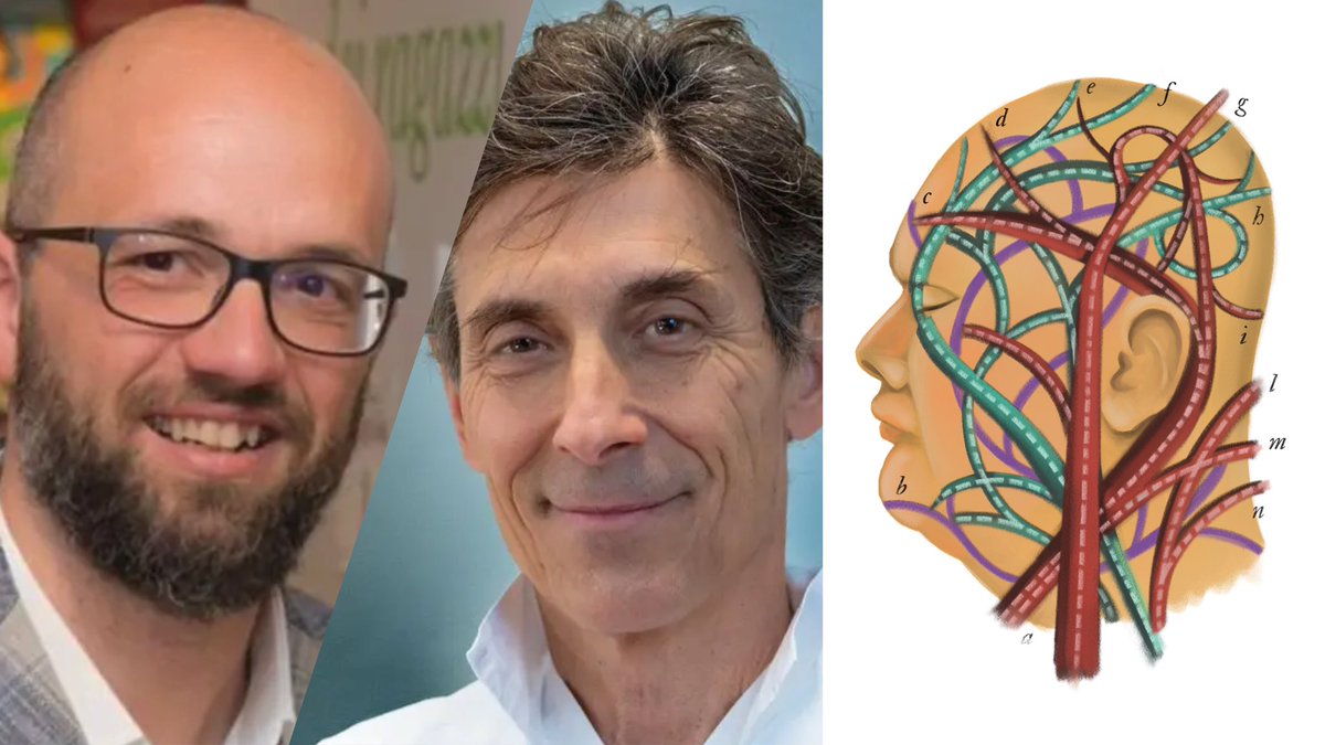 Una Montagna di Libri Cortina d'Ampezzo (@montagnadilibri) on Twitter photo “Abbi cura dei tuoi neuroni”. I neuroscienziati Antonio Cerasa e Maurizio Corbetta a #UnaMontagnadiLibri, con <a href="/FRBiomedica/">Fondazione Ricerca Biomedica Avanzata - VIMM</a>. Martedì 23 luglio, Ore 18, Alexander Girardi Hall di Cortina. Live YouTube @ UnaMontagnadiLibri “Abbi cura dei tuoi neuroni”. I neuroscienziati Antonio Cerasa e Maurizio Corbetta a #UnaMontagnadiLibri, con <a href="/FRBiomedica/">Fondazione Ricerca Biomedica Avanzata - VIMM</a>. Martedì 23 luglio, Ore 18, Alexander Girardi Hall di Cortina. Live YouTube @ UnaMontagnadiLibri