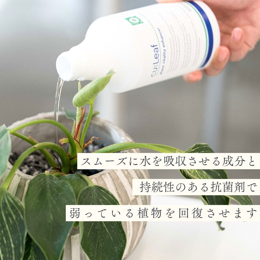 🍀GreenSnap tweet media