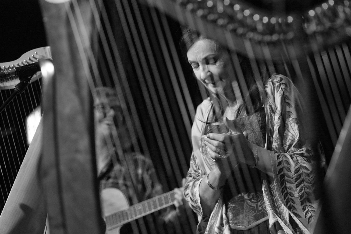 Dig With It tweet media