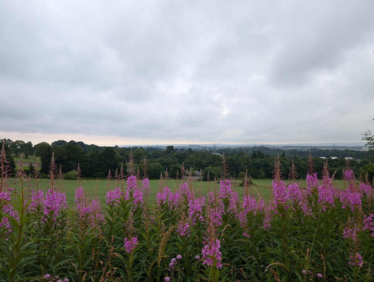 On my run... Loanhead area from Mounthooly Loan, Edinburgh EH10