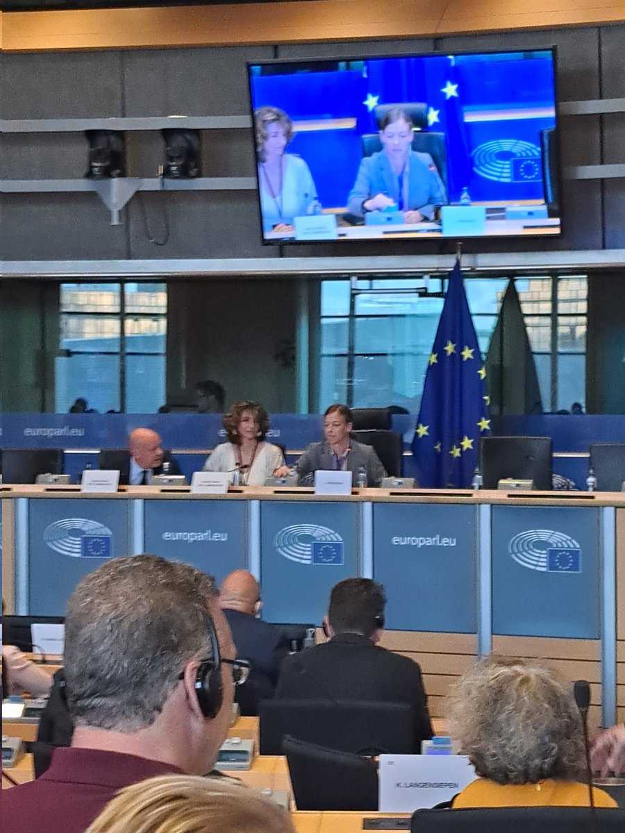pellechristy's tweet photo. Good news of day: the @EPSocialAffairs committee is now officially chaired by 🇫🇮 @liandersson from @Left_EU💪 https://t.co/mknaig3ljM
