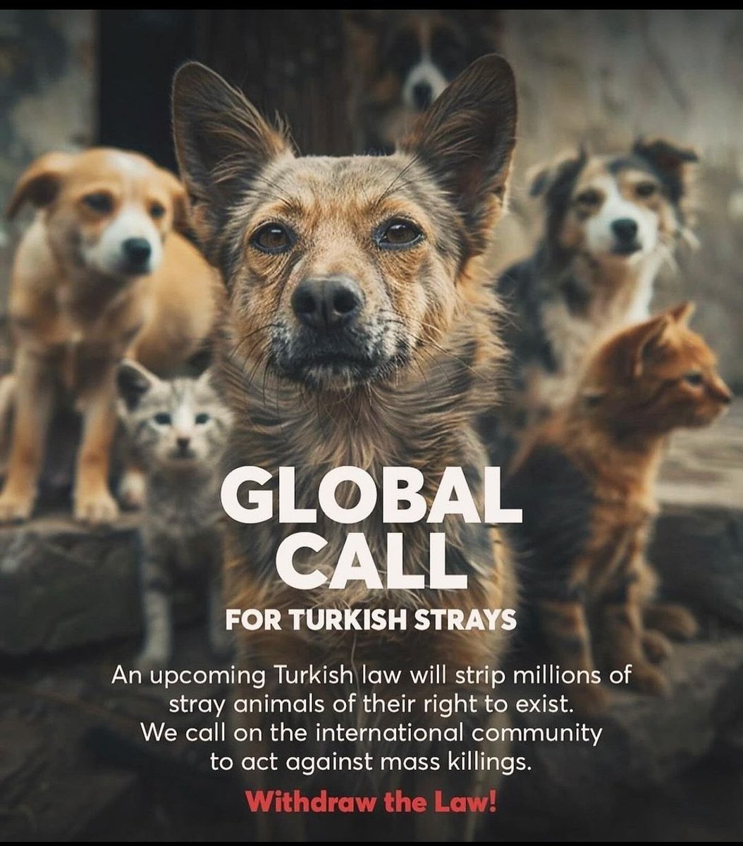 The world is watching Turkey 
🇹🇷