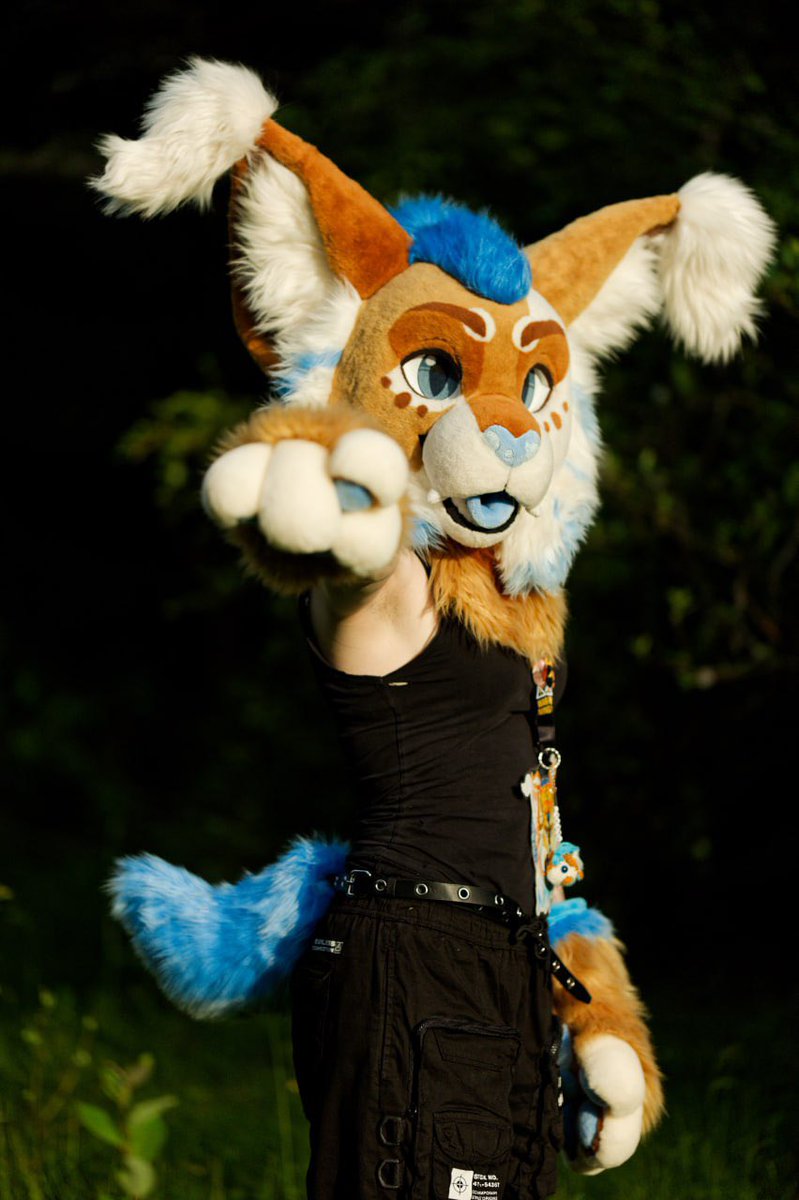 Nera Suncloud tweet media