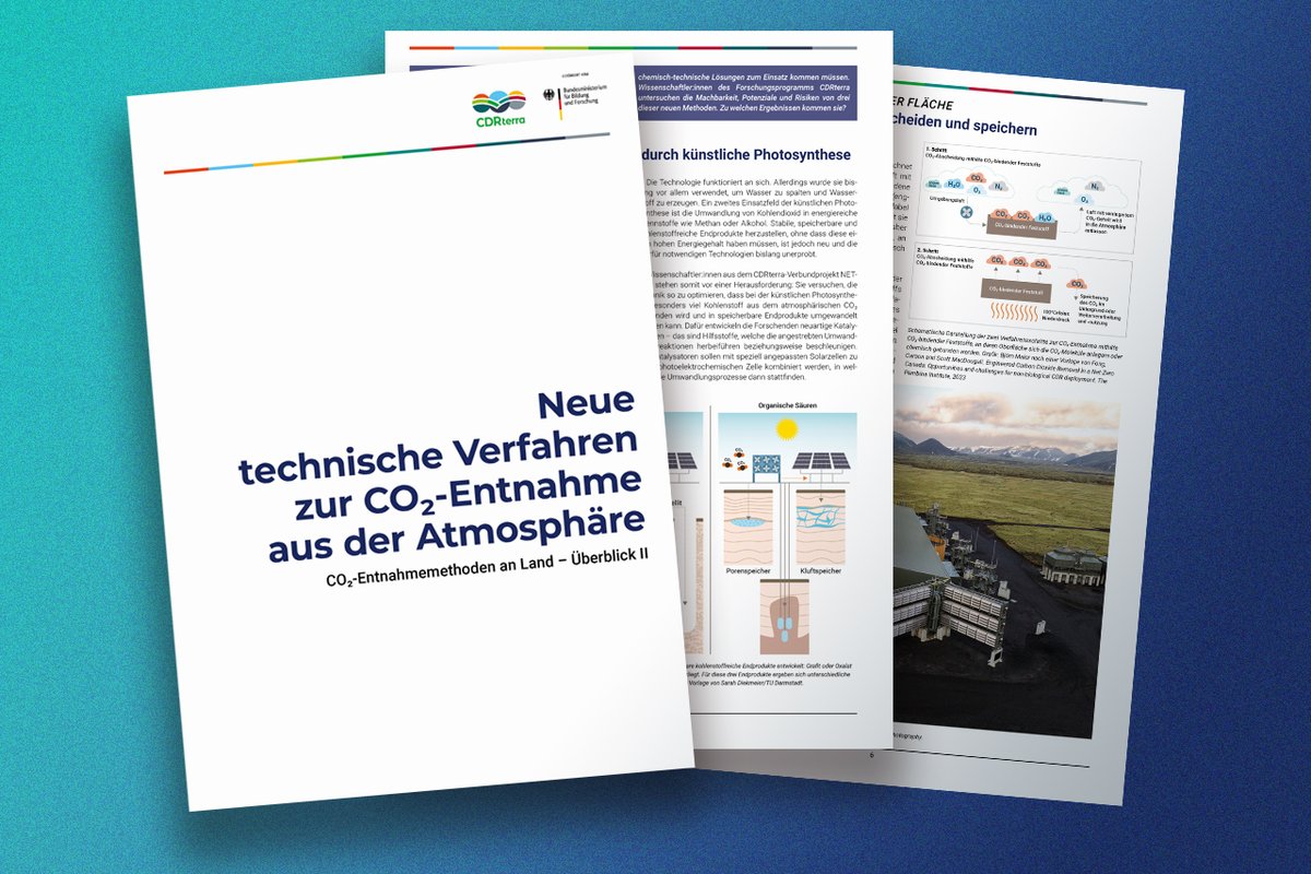 CDRterra tweet media