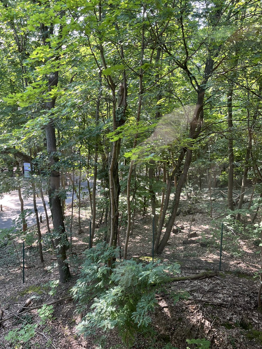 The view out my window for today