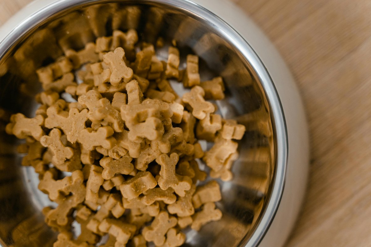 FAIRR Initiative (@fairrinitiative) on Twitter photo The UK will become the first country in Europe to commercialise ‘lab-grown’ meat, as Meatly chicken is approved for use in pet food.
<a href="/SpeedMaddie/">Madeleine Speed</a> for <a href="/FT/">Financial Times</a> 👇
ft.com/content/a9d139… The UK will become the first country in Europe to commercialise ‘lab-grown’ meat, as Meatly chicken is approved for use in pet food.
<a href="/SpeedMaddie/">Madeleine Speed</a> for <a href="/FT/">Financial Times</a> 👇
ft.com/content/a9d139…