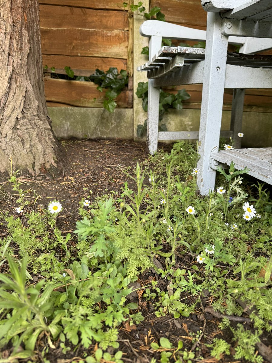 Today’s our AGM! Join us online this evening from 6pm to hear what we’ve been up to and input into our plans for the next year. 

If you want to get more involved in making Prestwich a cleaner and greener place to live, consider joining our committee. 

meet.google.com/ror-pihq-jgn