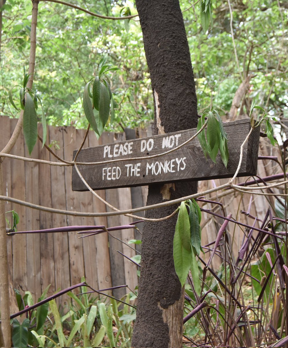 Austin Madinga Jr tweet media