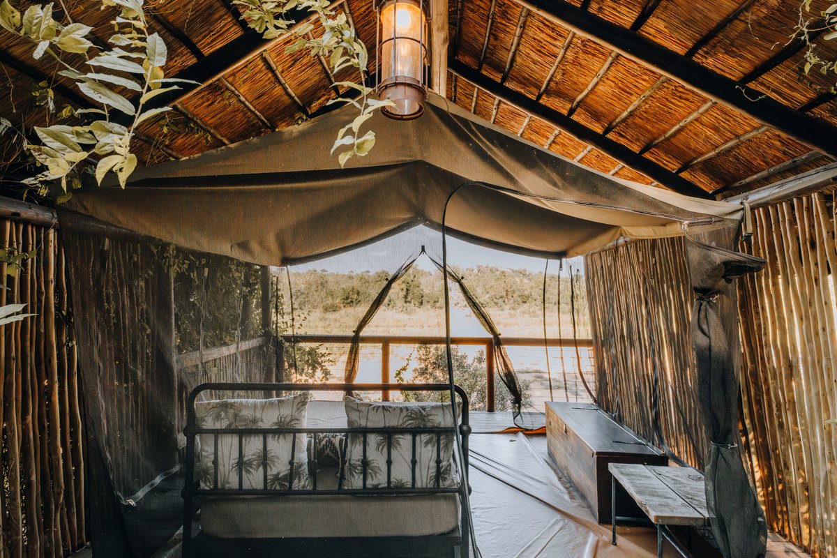 JockSafari's tweet photo. Jock's allure extends beyond its magical wildlife encounters. The lodge's luxurious yet authentically 12 African suites, complete with private plunge pools and sweeping views of the riverbed and koppies, offer an unmatched level of comfort, privacy, and elegance.

@kimpaffen 📷 https://t.co/4xeKzOfO0K