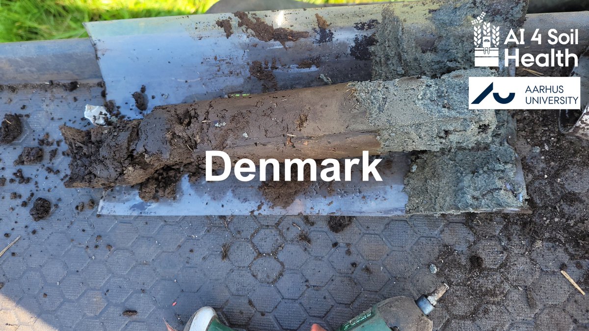 AI 4 Soil Health (@ai4soilhealth) on Twitter photo At the Danish #AI4SoilHealth pilot sites, <a href="/AarhusUni/">Aarhus Universitet</a> <a href="/DptAgro/">Department of Agroecology</a> are researching into the health of Denmark’s soils, using innovative #soilhealth measurement techniques such as #spectroscopy.
ai4soilhealth.eu/denmark/
They say👇🧵 At the Danish #AI4SoilHealth pilot sites, <a href="/AarhusUni/">Aarhus Universitet</a> <a href="/DptAgro/">Department of Agroecology</a> are researching into the health of Denmark’s soils, using innovative #soilhealth measurement techniques such as #spectroscopy.
ai4soilhealth.eu/denmark/
They say👇🧵