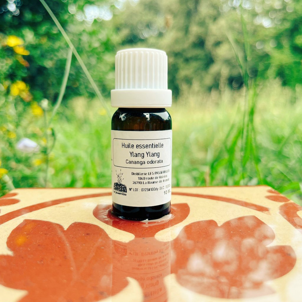 DPasserelles's tweet image. Huile essentielle d'Ylang Ylang des Comores 🌞💛

Son odeur est florale, puissante, fruitée avec des facettes douces, vanillées et épicées. 

Disponible sur notre boutique en ligne :

distillerielespasserelles.com 💫