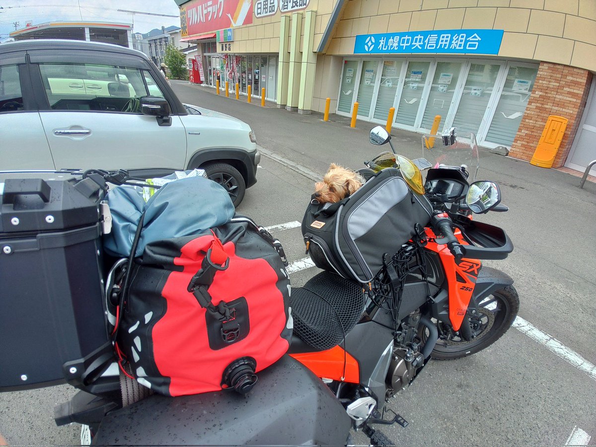 RIDERHOUSE69TA's tweet photo. 愛犬と一緒に北海道ツーリングですって♪
こういう楽しみ方って良いですね(U´・ェ・)
俺も禄太と旅に行きたいなぁ🎵
＃フレブル
＃ライダーハウス
＃禄太 https://t.co/DutwaNMKLy