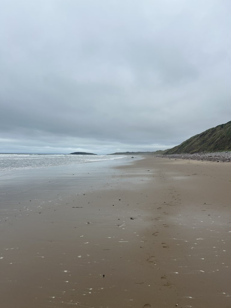 Busy dog walk this morning #wales #stunning