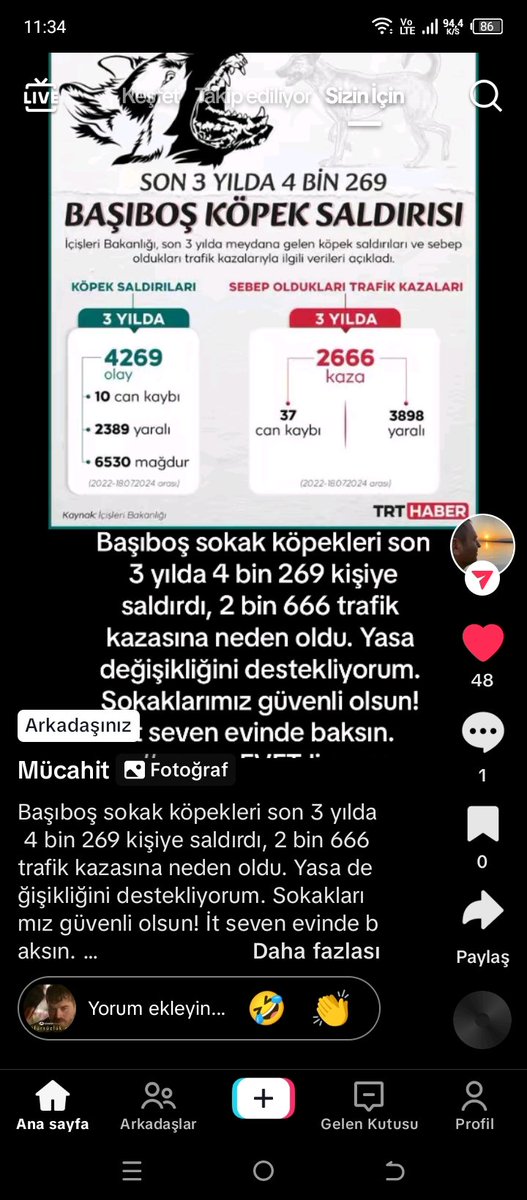 Köpek seven evinde beslesin,bağlayıp gezdirsin,BAŞIBOŞ köpek istemiyorum,
#yasayaEVETdiyoruz. 
<a href="/Akparti/">AK Parti</a> 
<a href="/herkesicinCHP/">CHP 🇹🇷</a>