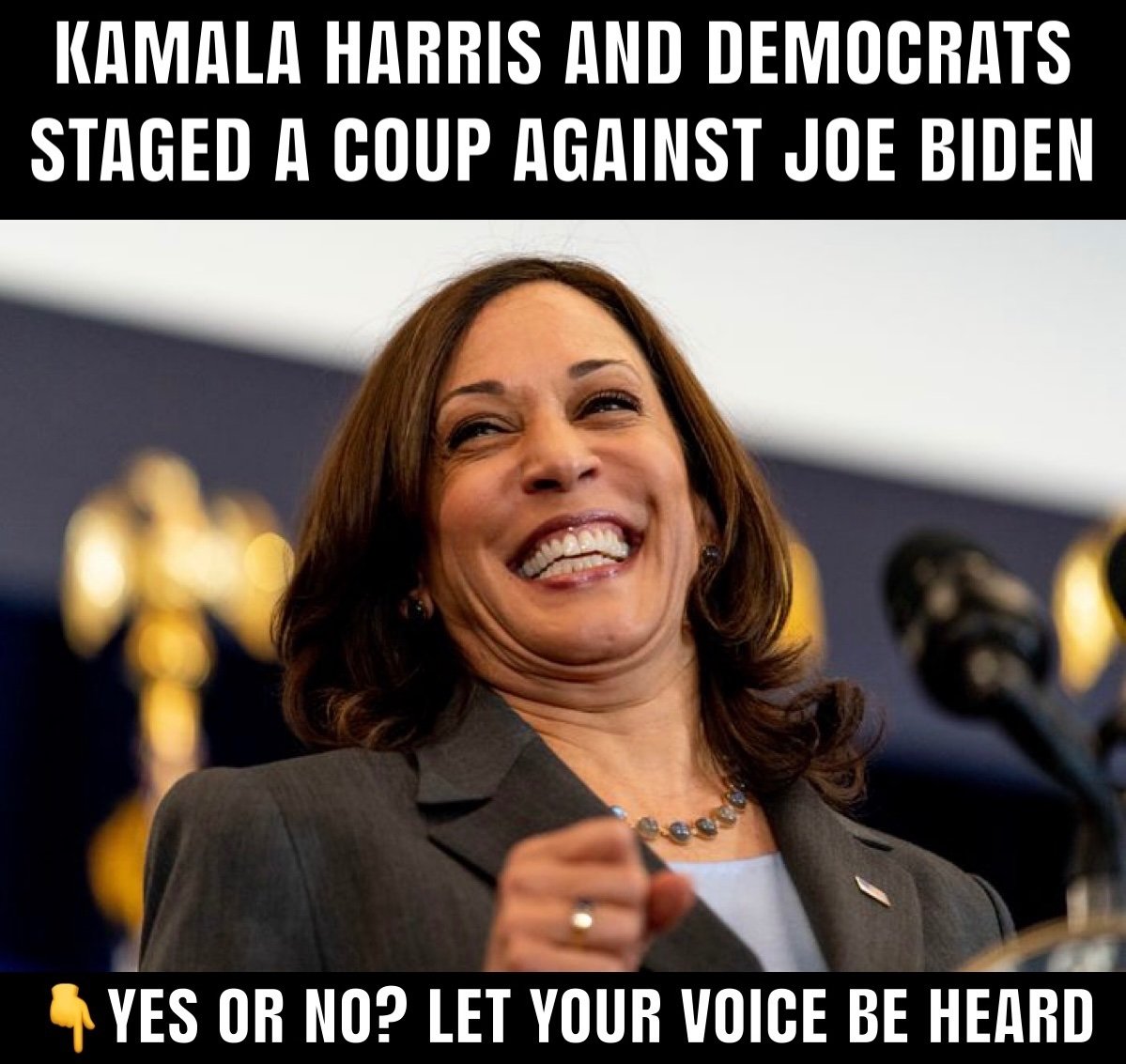 fandagodson's tweet photo. If we allow this woman to become president, it over for America.  She's not even a black, she's a complete fraud.  Its a no go for me. https://t.co/2HliOzobcR
