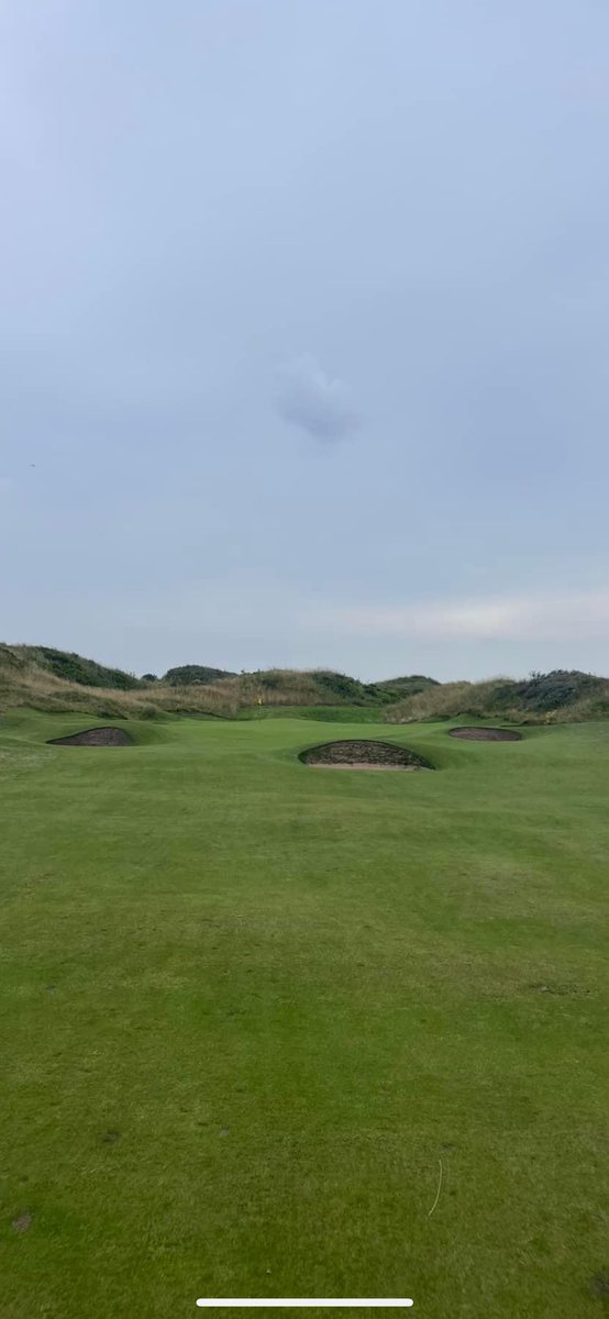 Ady Rosindale tweet media