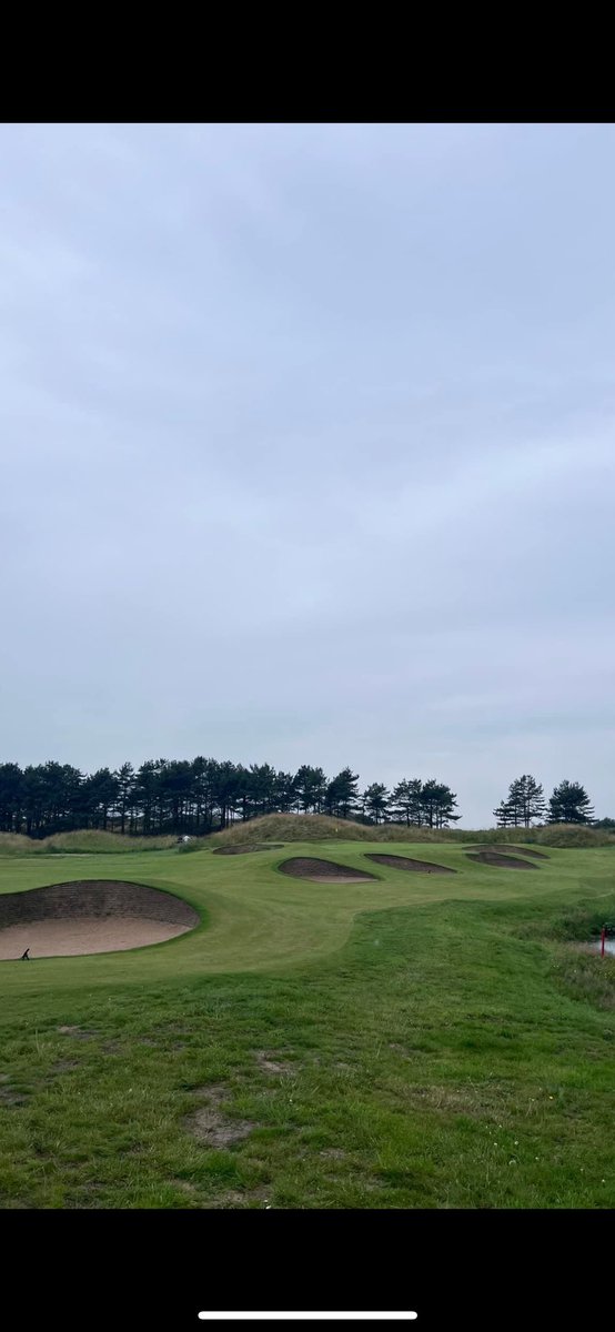 Ady Rosindale tweet media