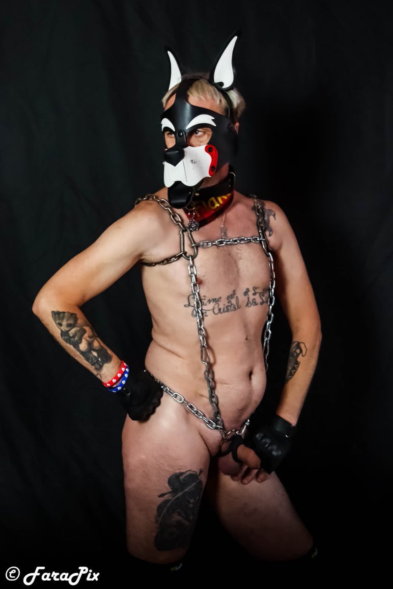 WillyVandervost's tweet image. 