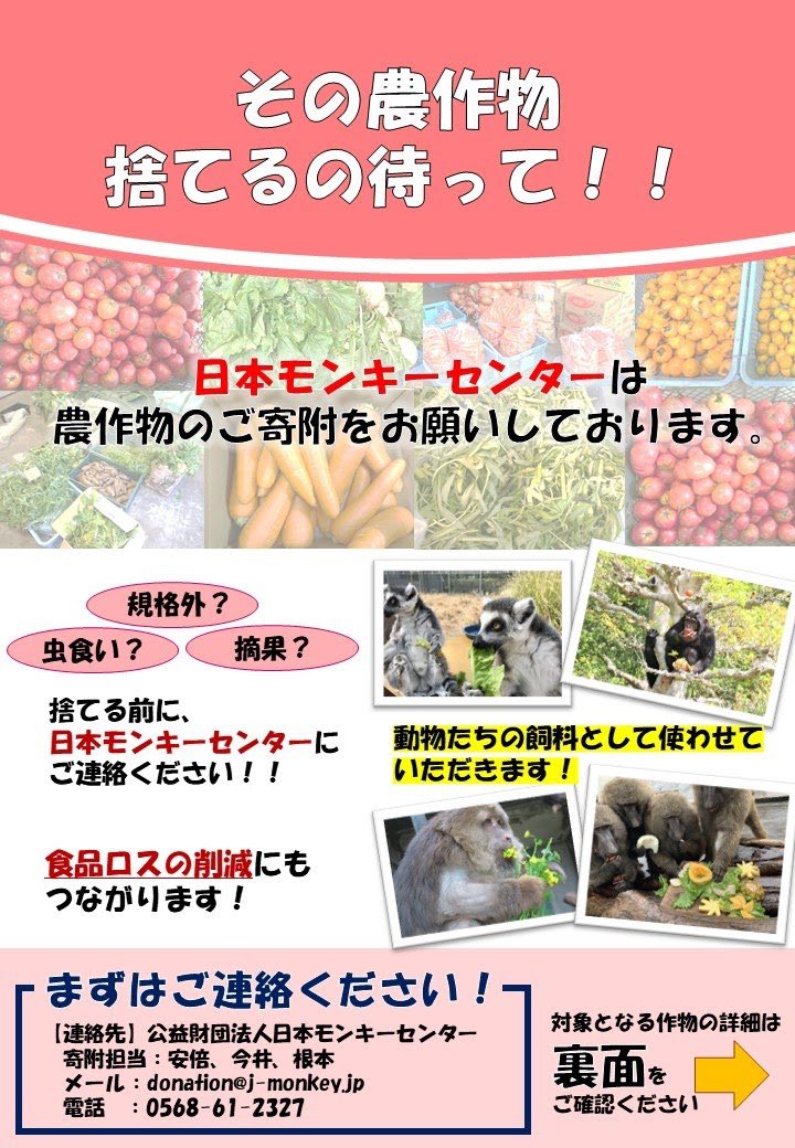 j_monkeycentre's tweet photo. #モンキーセンター では、動物たちに与える野菜や果物を常時募集していま���🍎
年々、飼料の価格が高騰しつづけておりエサ代に頭を悩まされております。
規格外、虫食いも受け入れています！
農家の皆様！捨てる前にぜひモンキーセンターへご連絡ください🐒(飼料班)
 #犬山 #農家 #農業 #食品ロス https://t.co/HBMX1ZW0ta
