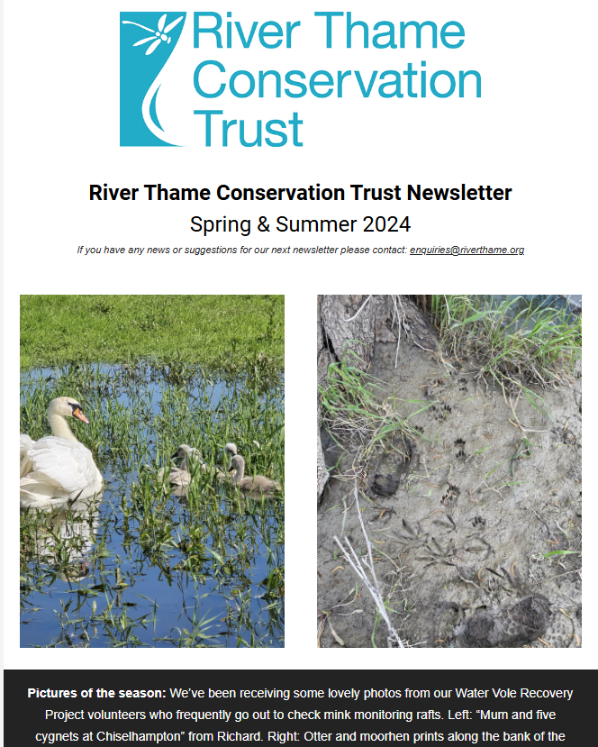 🌸 Our newsletter is out now! 🌞 Read about our first BNG project, the new Landscape Recovery project, Community Action for Bear Brook, and Water Vole Recovery Project. Plus, meet our new team members and get the scoop on upcoming events. 

mailchi.mp/0cfc97ffbe38/r…