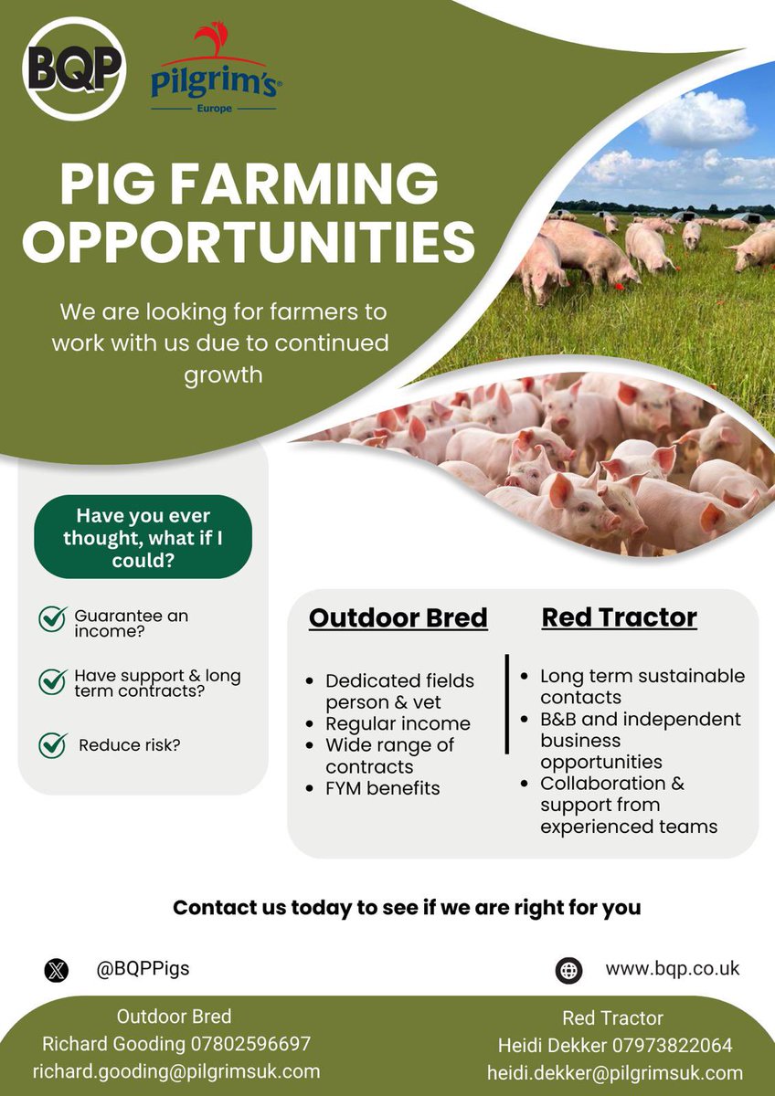 Are you looking for new opportunities? Contact us today 🐖
#pigfarming #agriculture #workwithus