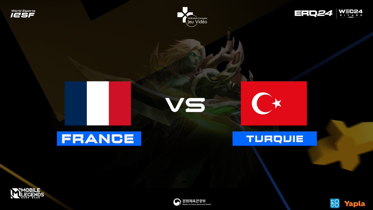 FFJV : Fédération Française de Jeu Vidéo tweet media