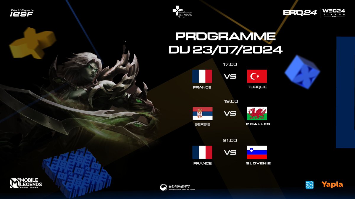 FFJV : Fédération Française de Jeu Vidéo tweet media