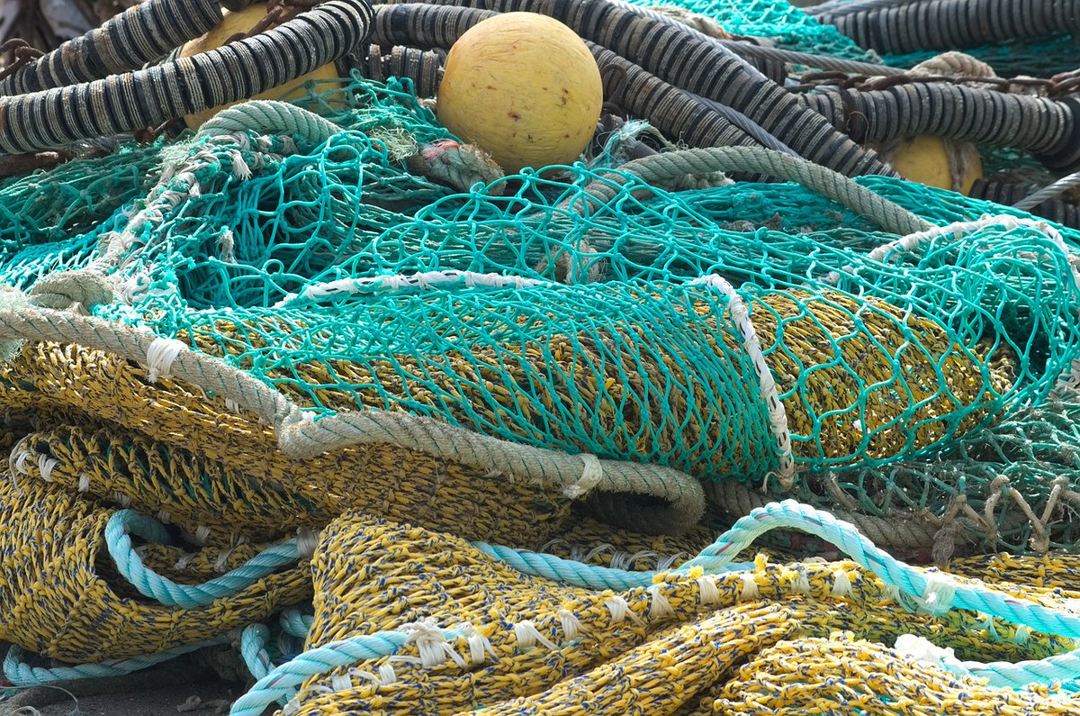 iMARES_group's tweet photo. 🚨 New article published! 🚨 Discover how commercial fish species' habitats in the Southern Hemisphere are changing with this new study: https://t.co/3aPE1YGJ0i

Congratulations @MariaBas16 and the rest of the co-authors!
#ProOceans #Seasentinels #Sospen https://t.co/8YFvxGZyxc
