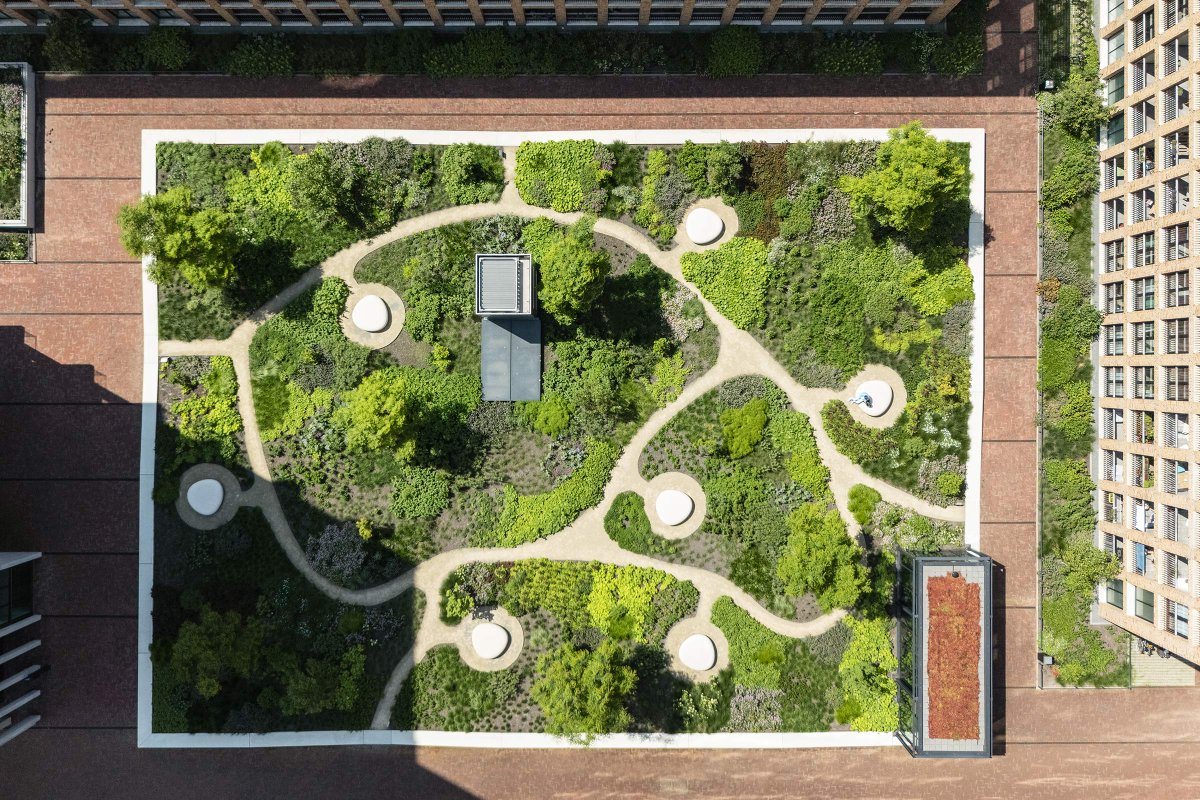 For the #landscape design of De <a href="/meelfabriek/">De Meelfabriek</a> public #garden, LOLA Landscape Architects worked closely with garden designer #PietOudolf. It is designed as a large ‘nature painting’. <a href="/Singelpark/">Singelpark</a>

Client: Van der Wiel Bouw
I.c.w.: <a href="/StudioAkkerhuis/">Studio Akkerhuis</a>

Read more: lola.land/2024/07/10/de-…